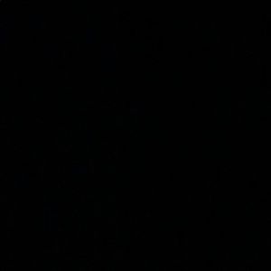 Meet your Posher, Gavin